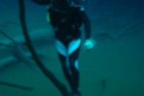 Diving_371
