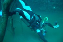Diving_441