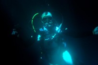 Diving_541